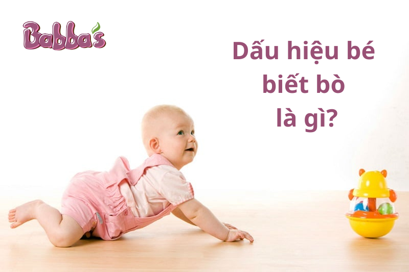 Trẻ mấy tháng thì bắt đầu biết bò